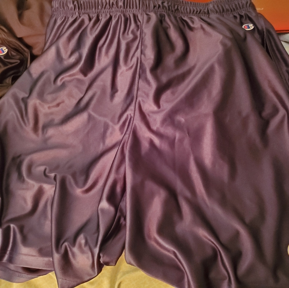 Champion shorts